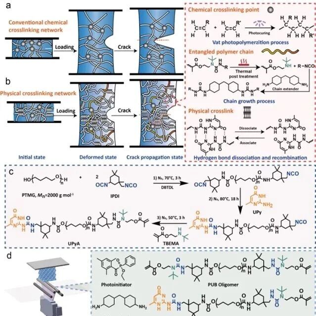 研究人员在光固化3D打印抗撕裂弹性体取得新进展